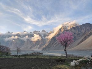 Hunza Spring Blossom tour