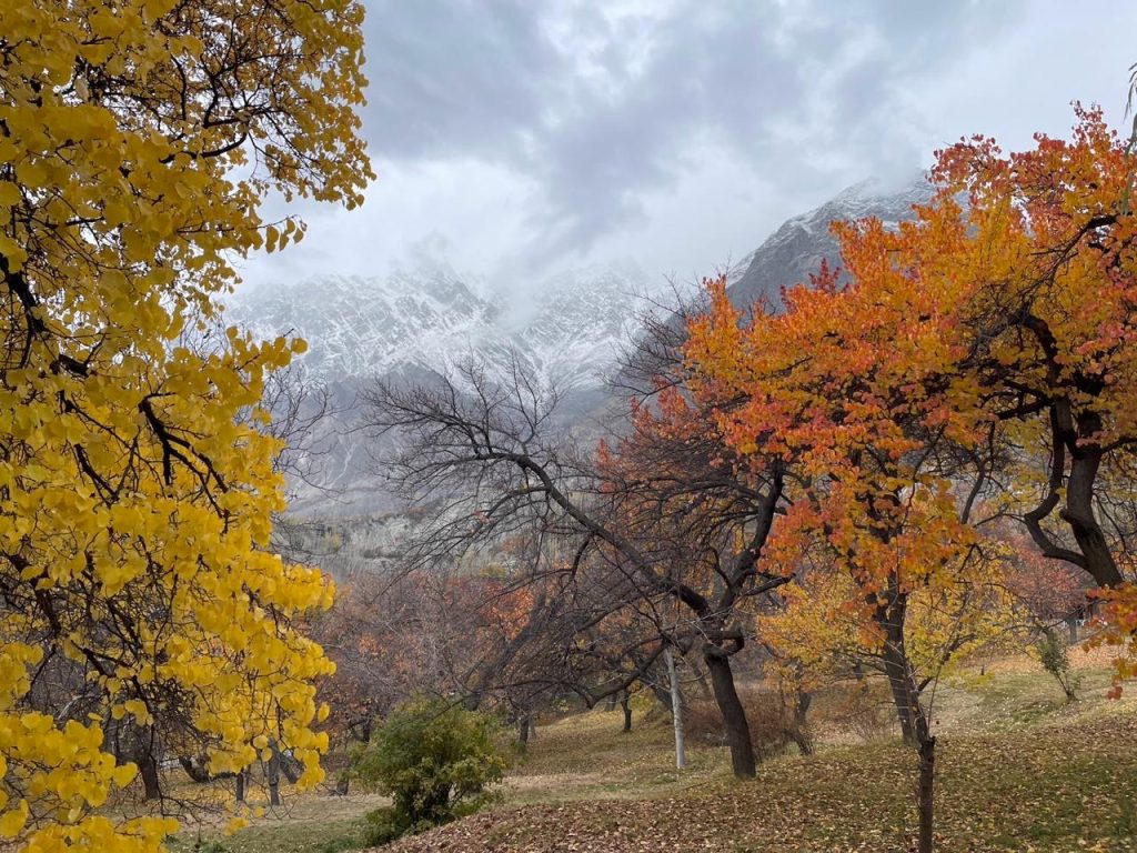 Autumn in Altit Royal Garden