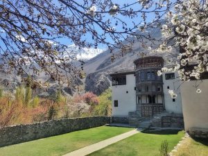 Khaplu Fort in Spring Blossom