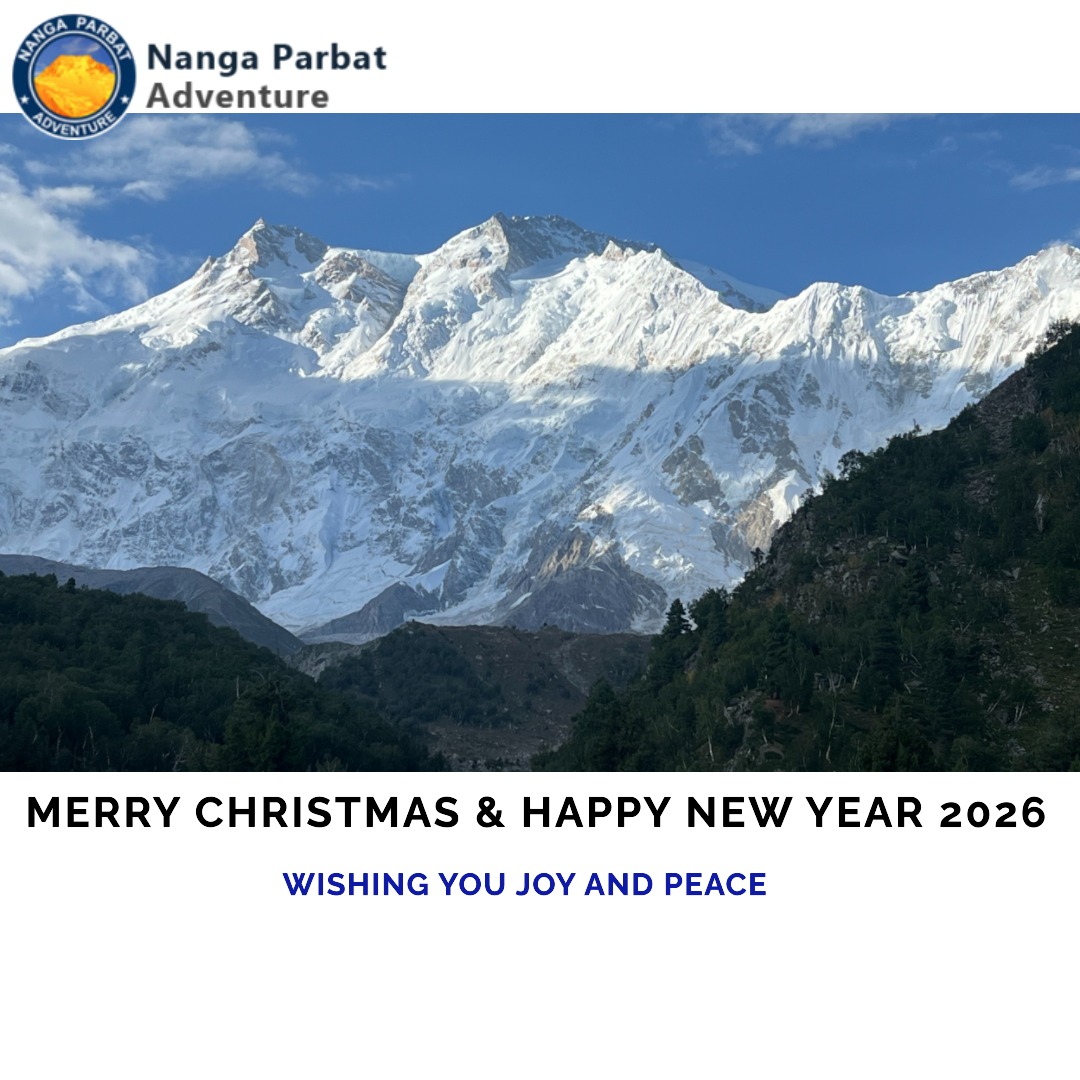 Read more about the article Merry Christmas and Happy New Year